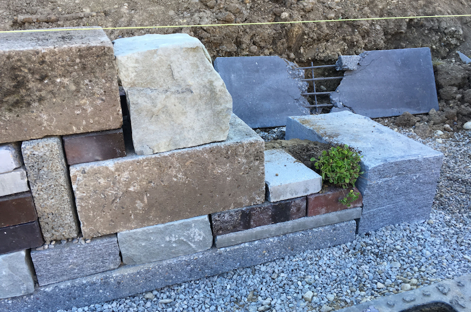 Trockenmauer_Fugenpflanze_IMG_1987_web