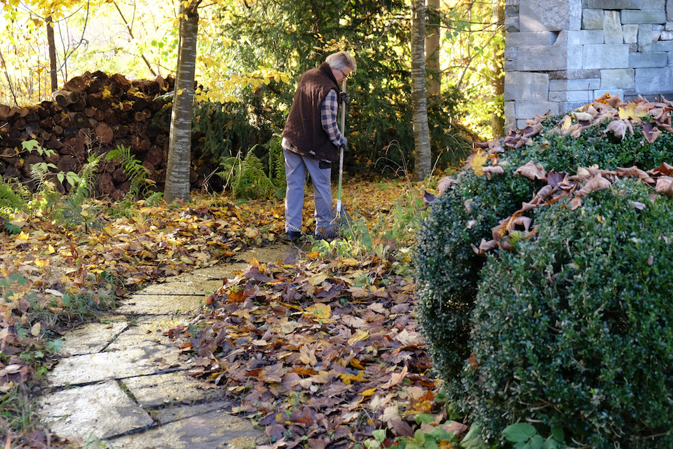 laub_rechen_dscf5252_web