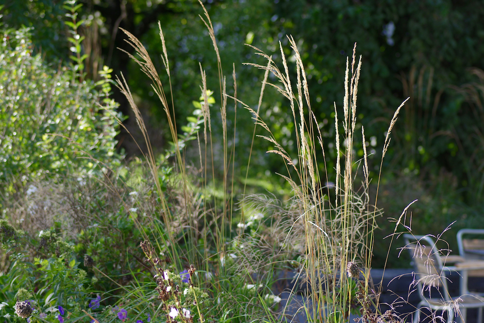 Winkler_Richard_Naturgarten_Tischhauser_Elgg_IMGP4466