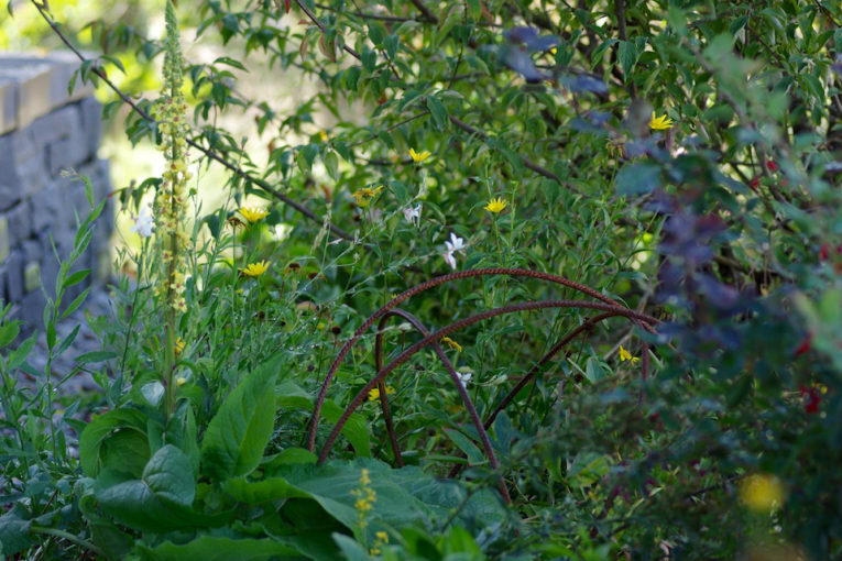 Winkler_Richard_Naturgarten_Tischhauser_Elgg_IMGP4476