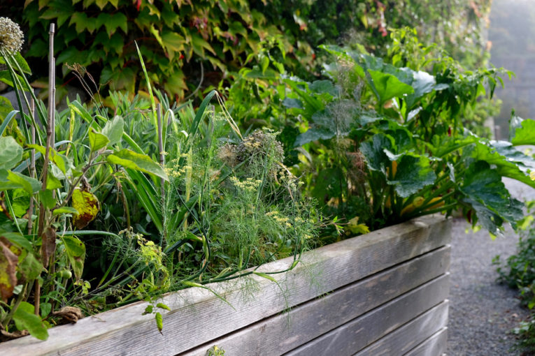 Winkler_Richard_Naturgarten_Nicklaus_Steinhausen_DSCF8375